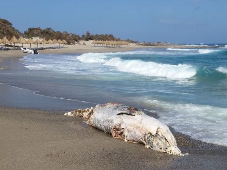 20160614_164503-600x450 20160614_164503-600x450