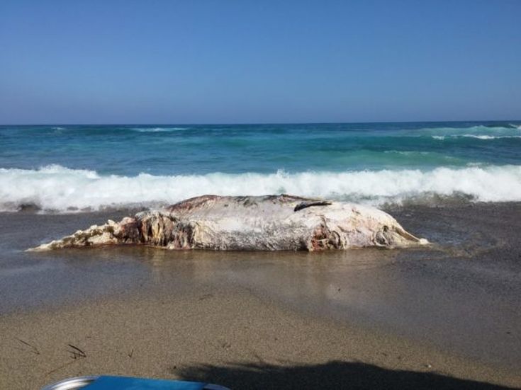 20160614_164547-600x450 20160614_164547-600x450