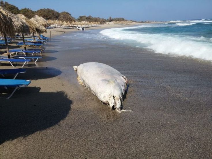 20160614_164834-600x450 20160614_164834-600x450