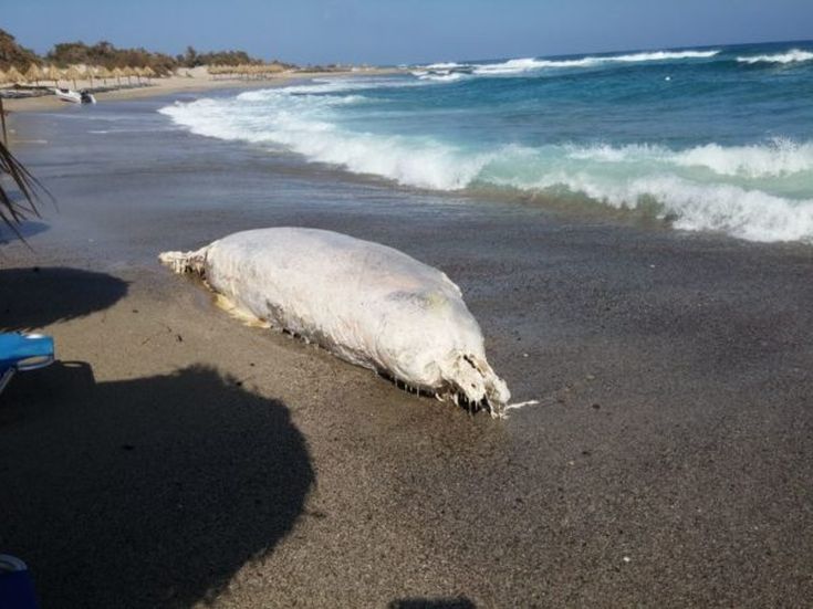 20160614_164841-600x450 20160614_164841-600x450