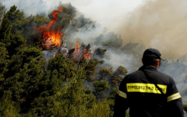 Σε εξέλιξη φωτιά στην Κάρυστο