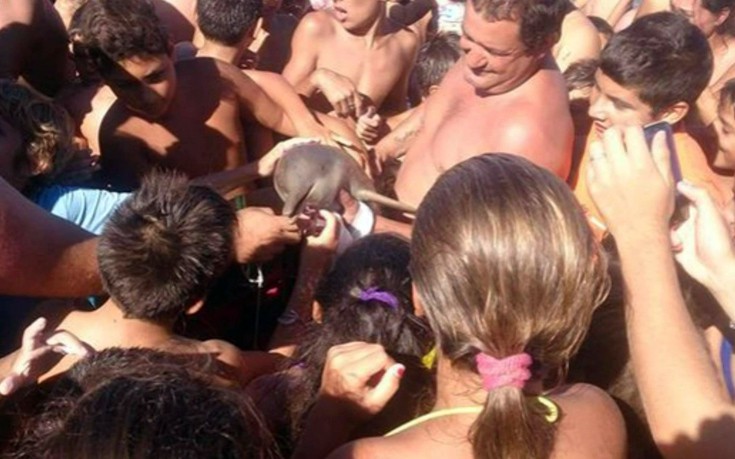 aaeeddikimmmggmma1 aaeeddikimmmggmma1