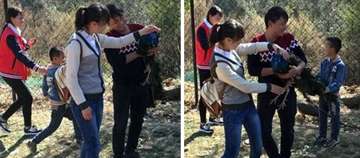 aaeeddikimmmggmma3 aaeeddikimmmggmma3