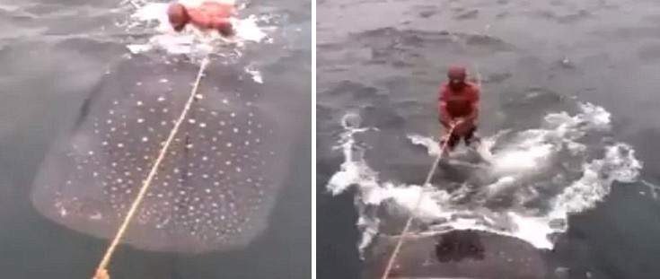 aaeeddikimmmggmma5 aaeeddikimmmggmma5