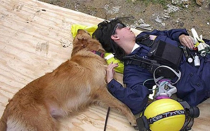 aksjdausd4 aksjdausd4