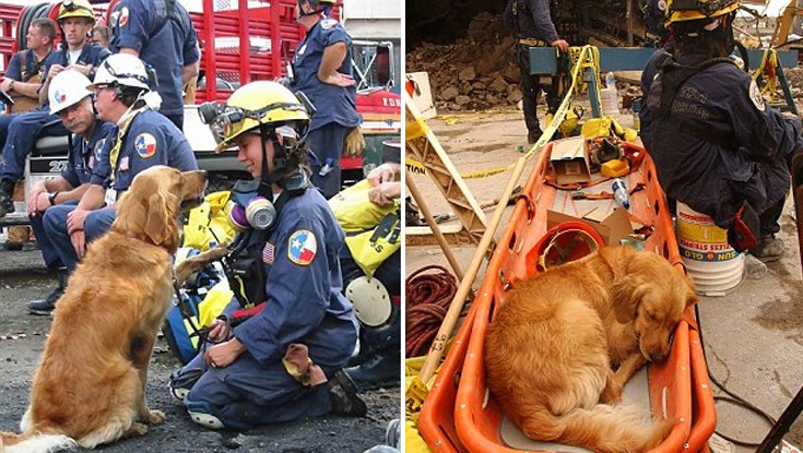 aksjdausd6 aksjdausd6