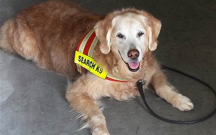 aksjdausd7 aksjdausd7