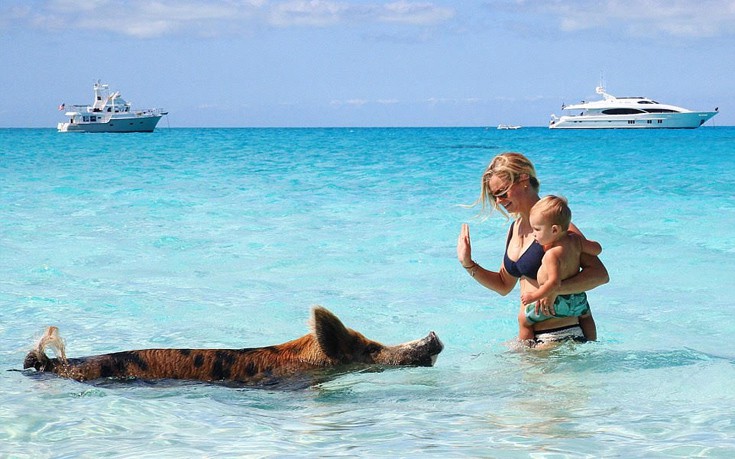 alsoaayf10 alsoaayf10