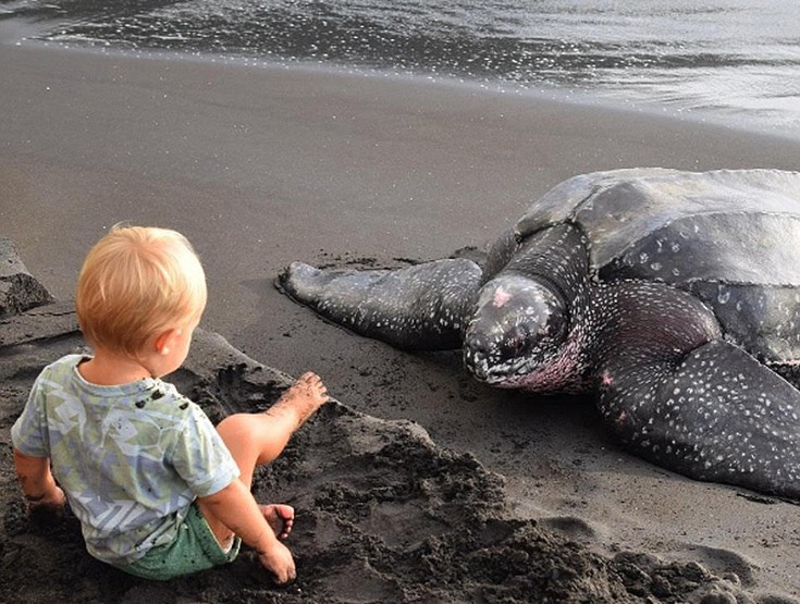 alsoaayf14 alsoaayf14