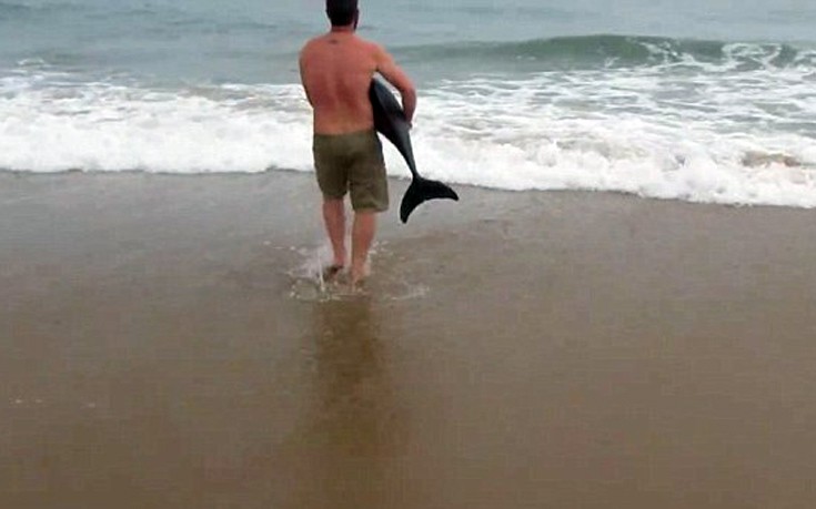 Πήρε αγκαλιά δελφίνι που είχε ξεβράσει η θάλασσα για να το επαναφέρει στο νερό