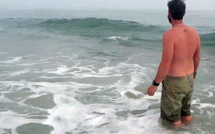 delfinaki5 delfinaki5