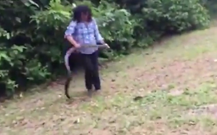 Η γυναίκα που αρπάζει ένα τεράστιο φίδι