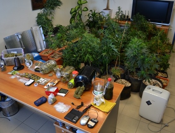 Χασισέλαιο και κάνναβη 250.000 ευρώ στην Κρήτη