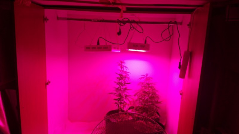 idroponiki-xasis-9 idroponiki-xasis-9