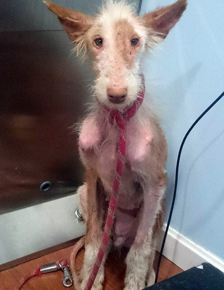 ksualaksdai2 ksualaksdai2