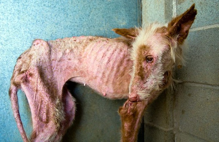 ksualaksdai3 ksualaksdai3