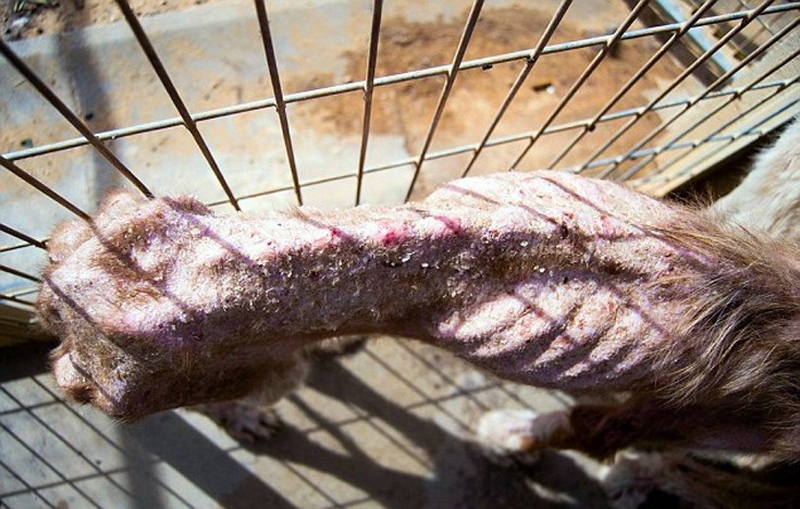 ksualaksdai4 ksualaksdai4