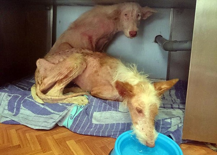 ksualaksdai5 ksualaksdai5