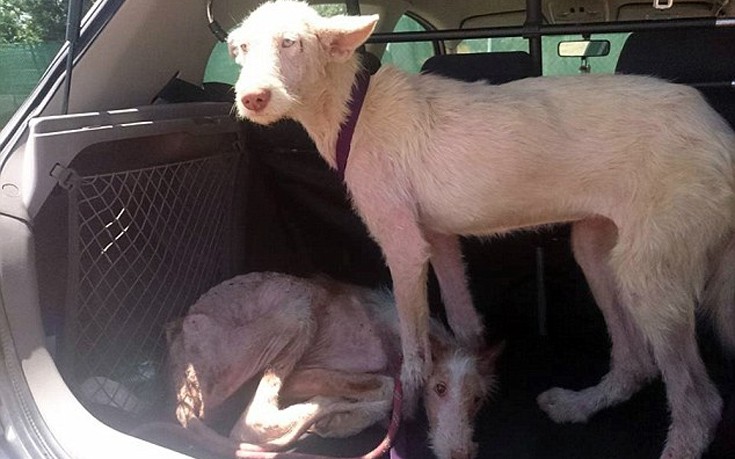 ksualaksdai7 ksualaksdai7