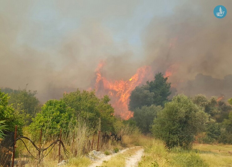 Σε εξέλιξη φωτιά στη Ρόδο