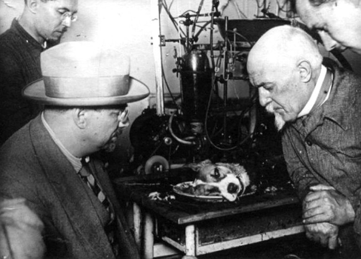 sdciiehfgbnstsfsfgmok1