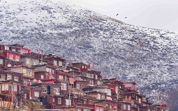 thivetmonaxoi1 thivetmonaxoi1