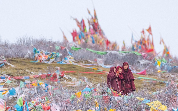 thivetmonaxoi16 thivetmonaxoi16