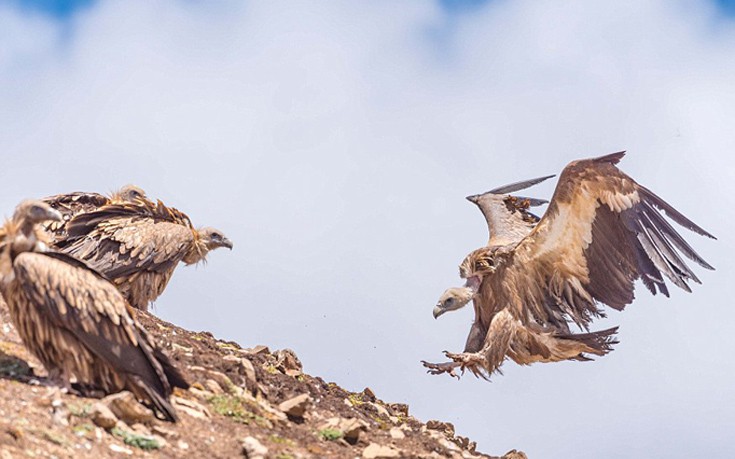 thivetmonaxoi7 thivetmonaxoi7