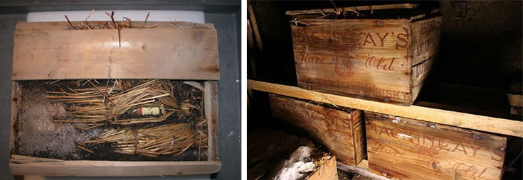 ttsrososssreeeuusroserr3 ttsrososssreeeuusroserr3