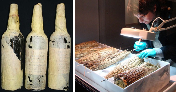 ttsrososssreeeuusroserr33 ttsrososssreeeuusroserr33