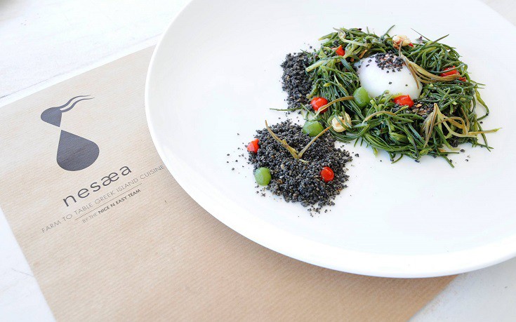 13227429_566833490152923_8103305878804816878_o