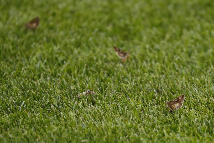 2016-07-10T171729Z_111172649_MT1ACI14476585_RTRMADP_3_SOCCER-EURO-POR-FRA