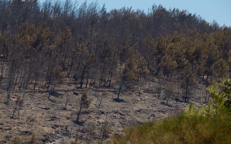 Την Πέμπτη η δίκη για την πυρκαγιά στη Σάμο