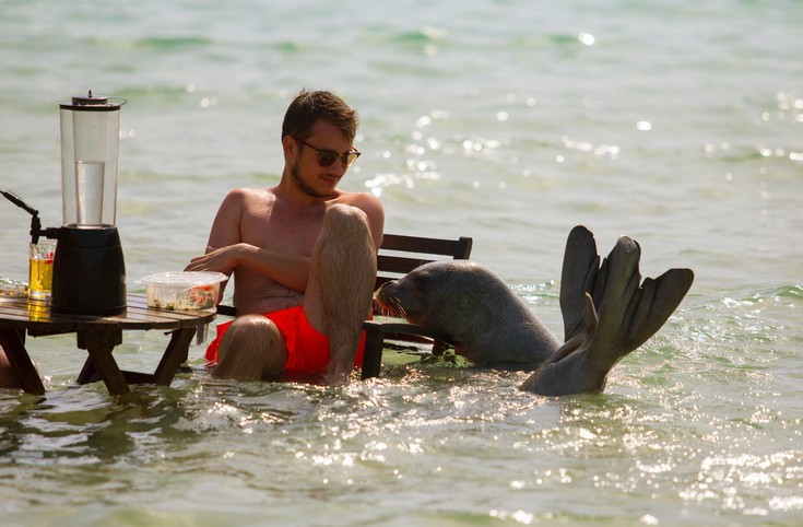 ΑΡΓΥΡΩ ΦΩΚΙΑ