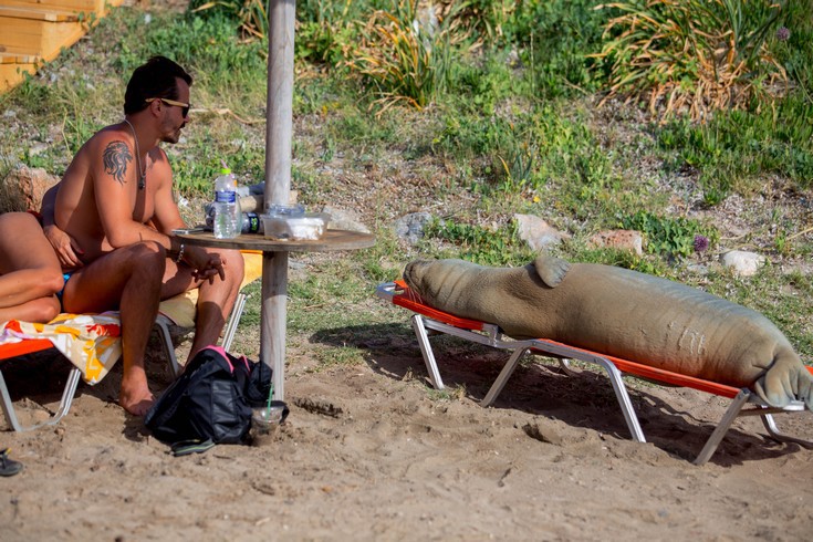 ΑΡΓΥΡΩ ΦΩΚΙΑ