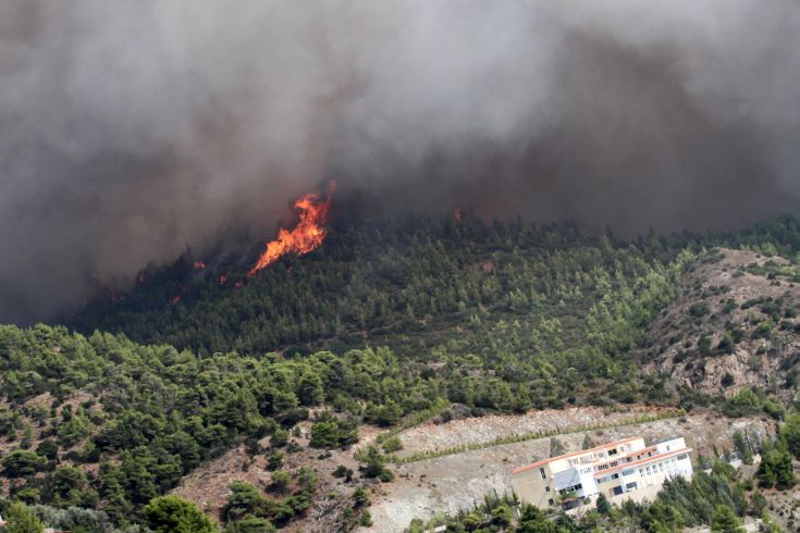 Μάχη με αντίπαλο το χρόνο για την κατασκευή αντιπυρικών ζωνών στην Εύβοια