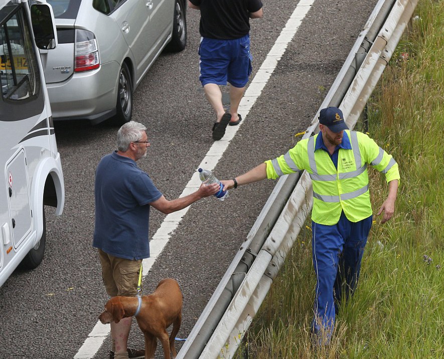 368A2A5F00000578-3704887-image-a-14_1469304844374