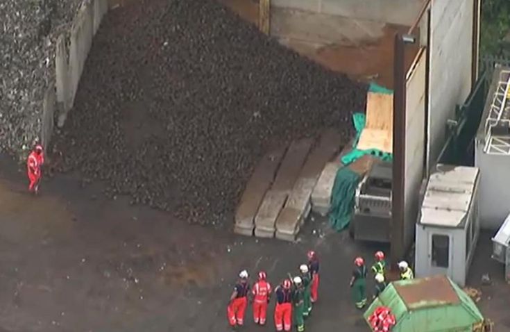 JS94418055 JS94418055