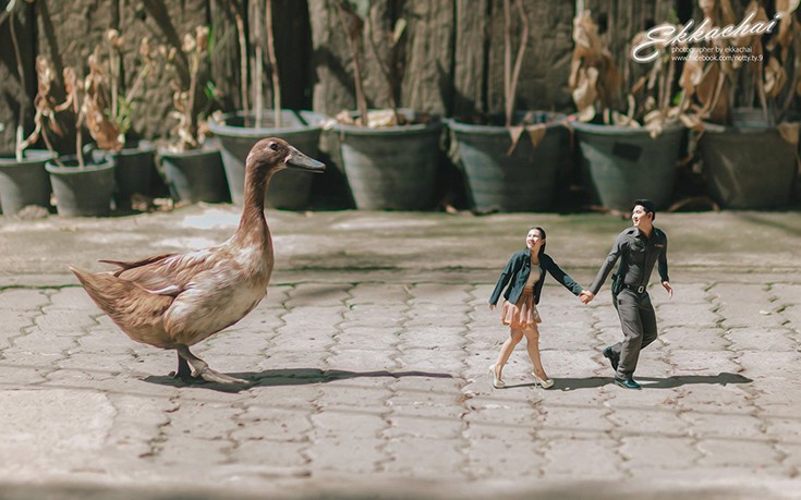 Miniature11 Miniature11