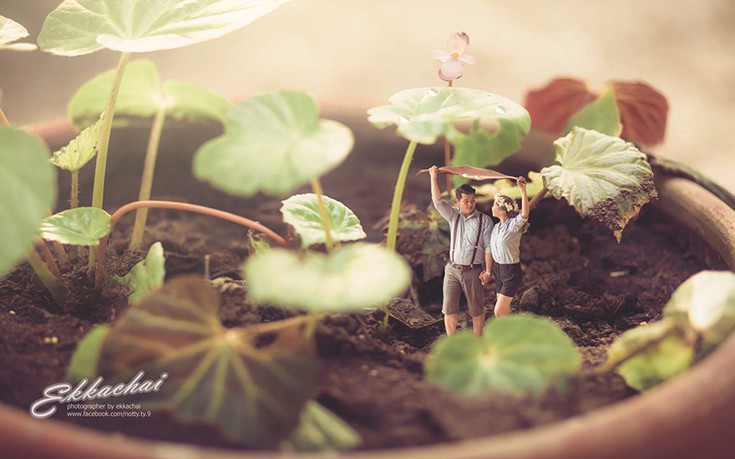 Miniature2 Miniature2