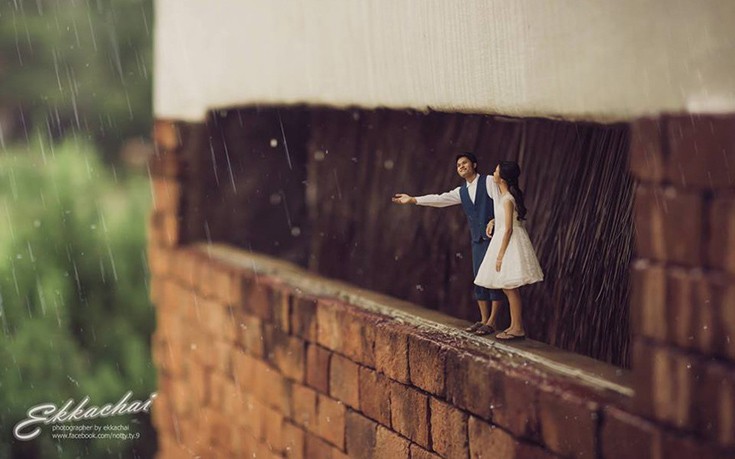 Miniature4 Miniature4