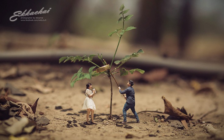 Miniature7 Miniature7