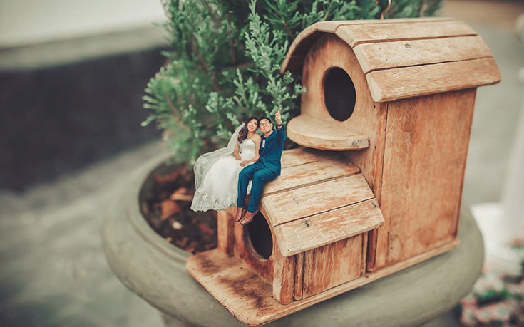 Miniature8 Miniature8