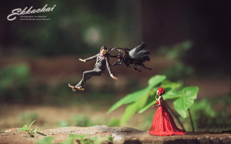 Miniature9 Miniature9