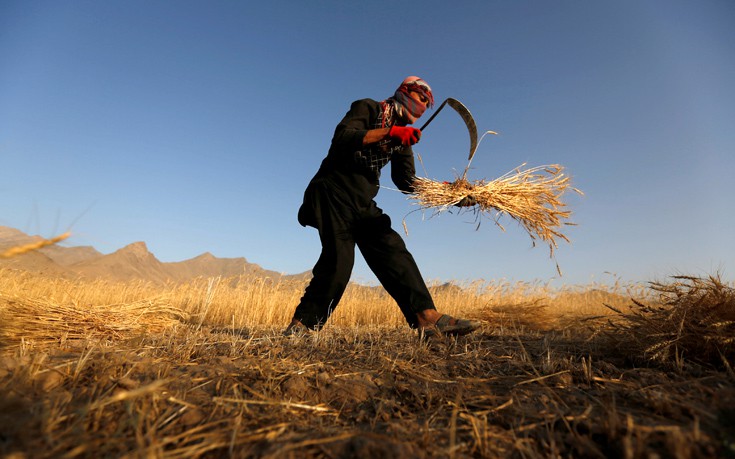 ath-reut-1 ath-reut-1