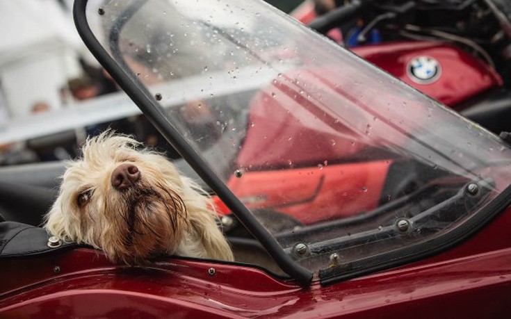 bmwmotrday18 bmwmotrday18