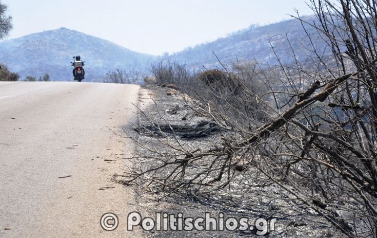 Η Χίος μετρά τις πληγές της μετά την καταστροφική πυρκαγιά