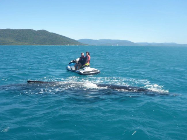 Πώς μια απλή βόλτα με jet ski γίνεται εμπειρία ζωής