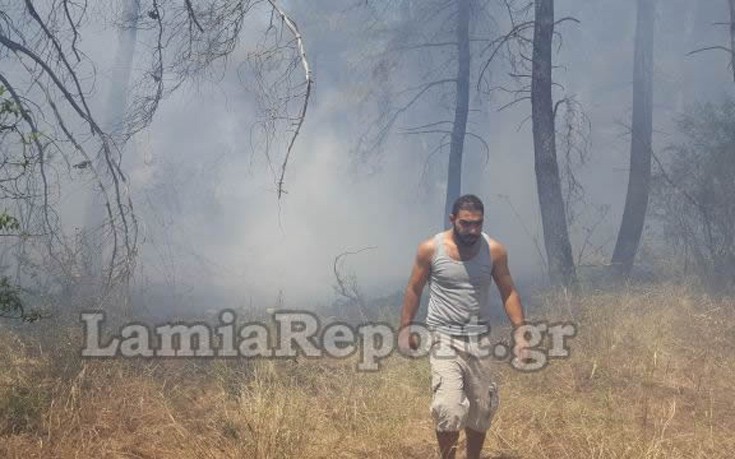 Φωτογραφίες και βίντεο από τη φωτιά στις Θερμοπύλες