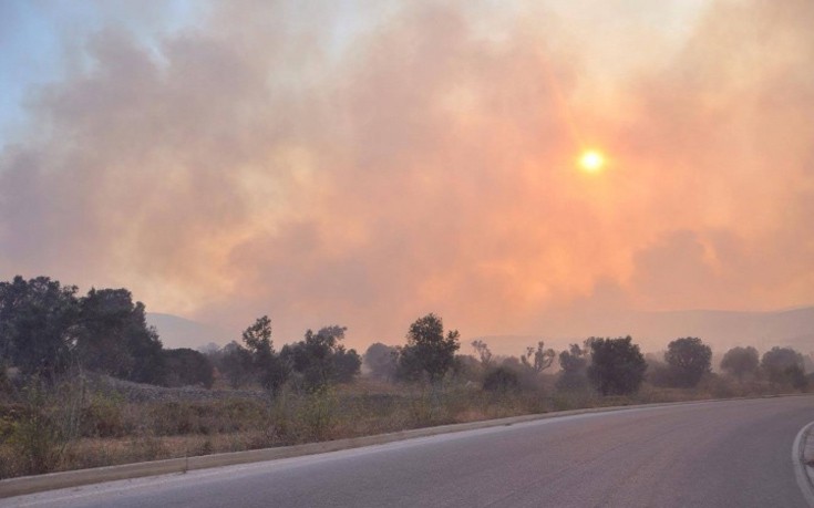 Μάχη με τις φλόγες και τον άνεμο στη Χίο